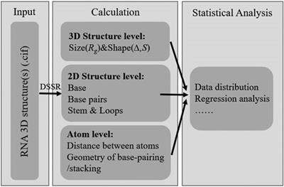 RNAStat: An Integrated Tool for Statistical Analysis of RNA 3D Structures